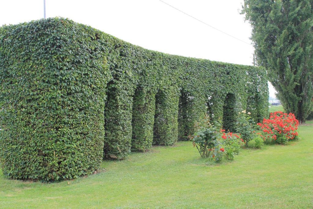 Villa Belvedere 1849 Misano di Gera dʼAdda Eksteriør bilde
